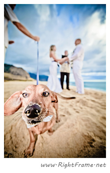 059_wedding_oahu_Hawaii_Photographer_