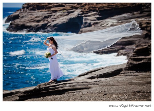 1 Hawaii wedding photographer
