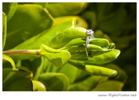 089_Engagement_oahu_Photography