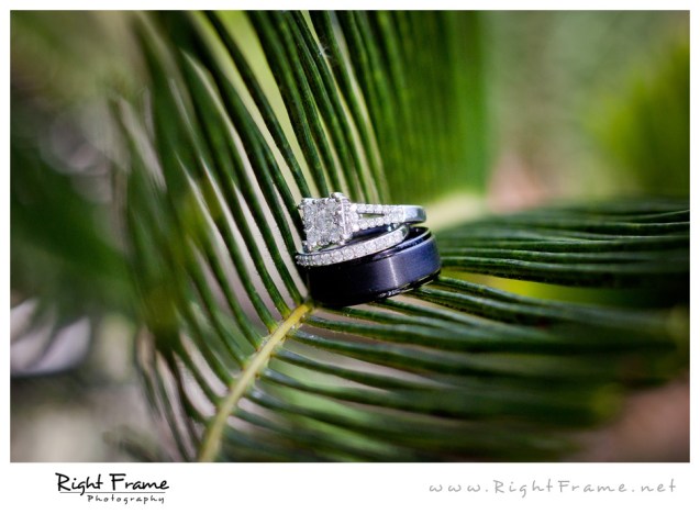 179_Oahu_wedding_Photographers