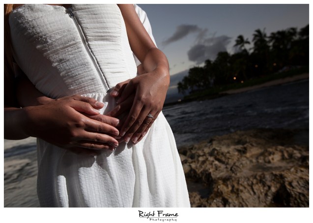 014_honolulu_engagement_photographers