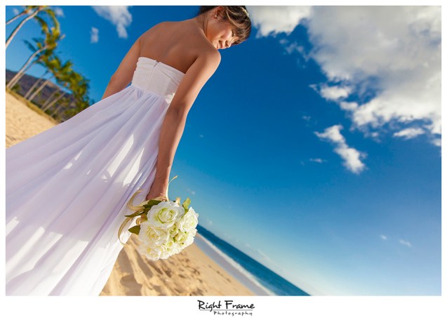 005_best wedding photographer in honolulu Hawaii