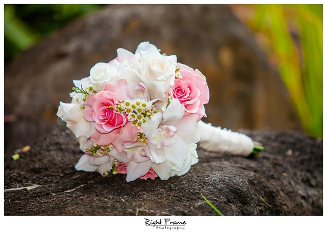 004_Oahu Wedding Photography paliku gardens