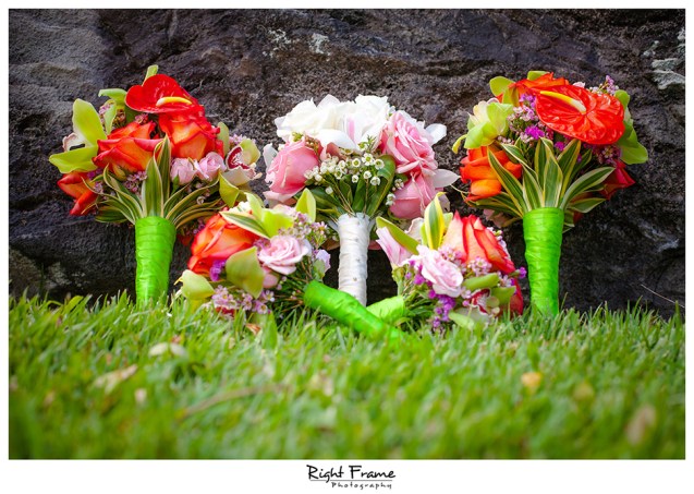 005_Oahu Wedding Photography paliku gardens