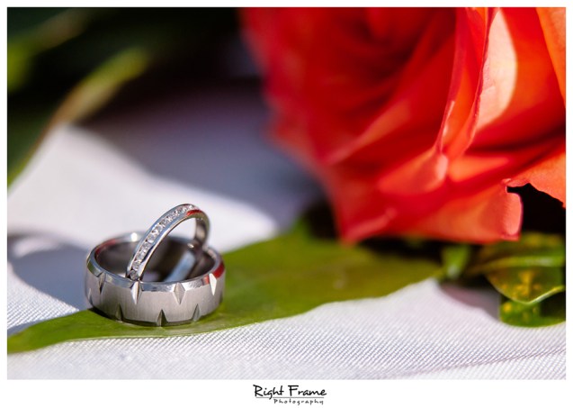 043_Oahu Wedding Photography paliku gardens