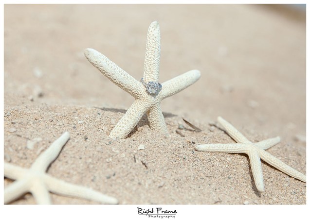 105_oahu engagement photographers