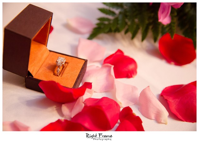 049_hawaii marriage proposal