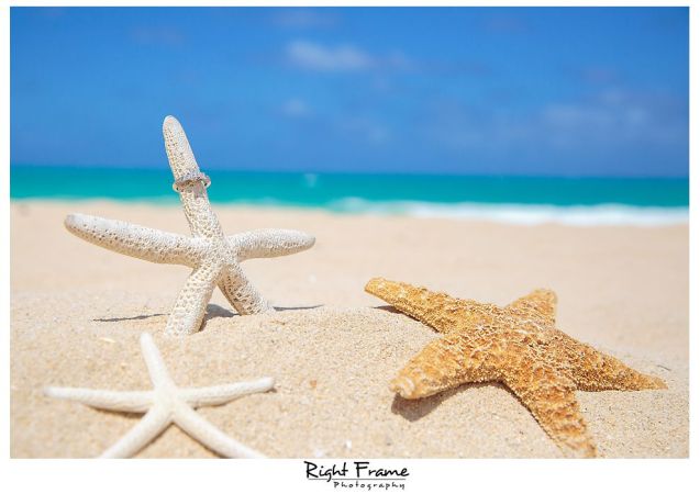 395_hawaii engagement photography