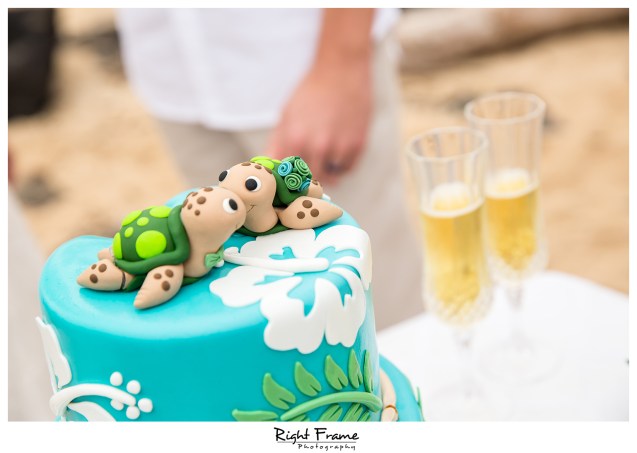 Hawaii Destination Wedding Makapuu Beach