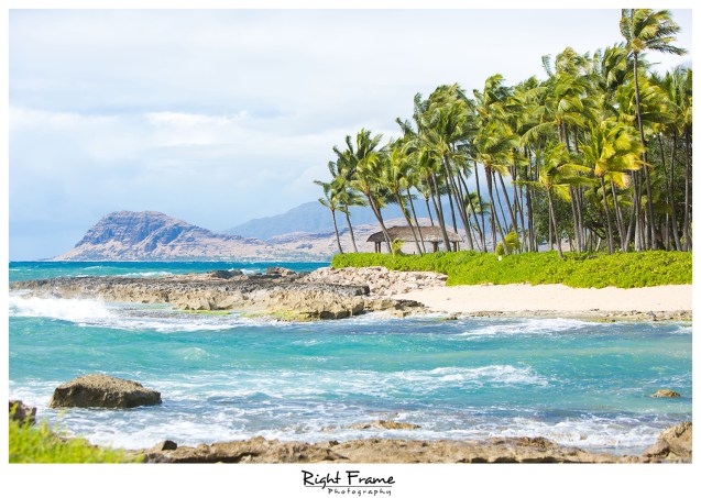 surprise engagement proposal in hawaii