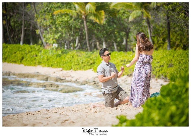 surprise engagement proposal in hawaii