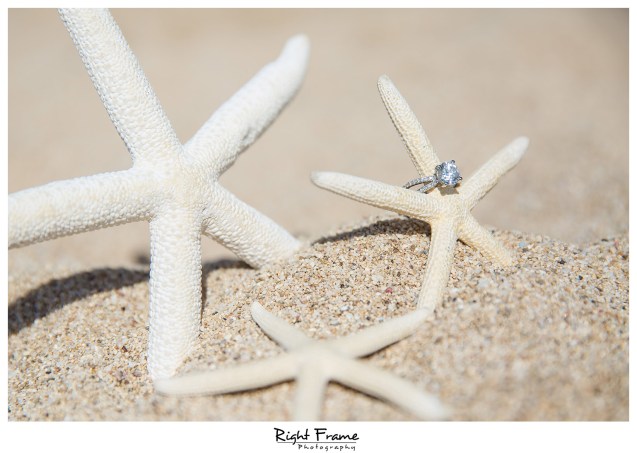 surprise engagement proposal in hawaii