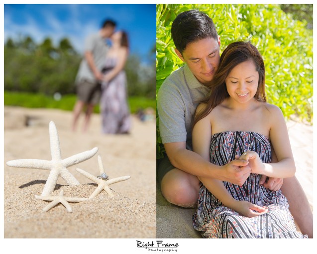 surprise engagement proposal in hawaii