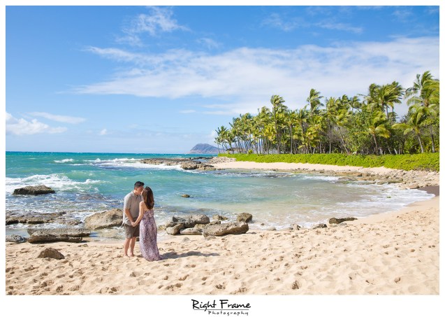 surprise engagement proposal in hawaii