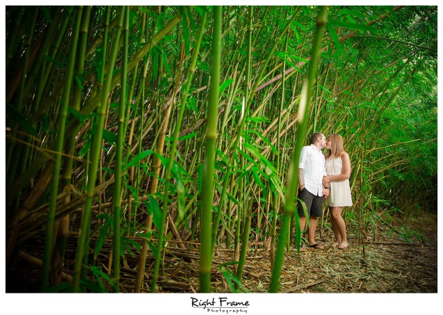 Engagement photographer in Hawaii Oahu