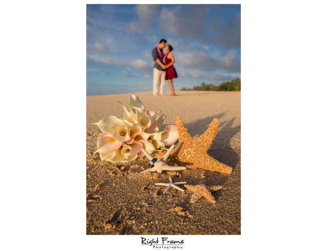 sunset engagement photographer near turtle beach resort oahu
