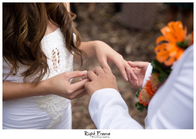 Koko Head Botanical Garden Wedding  The Willows Restaurant Reception