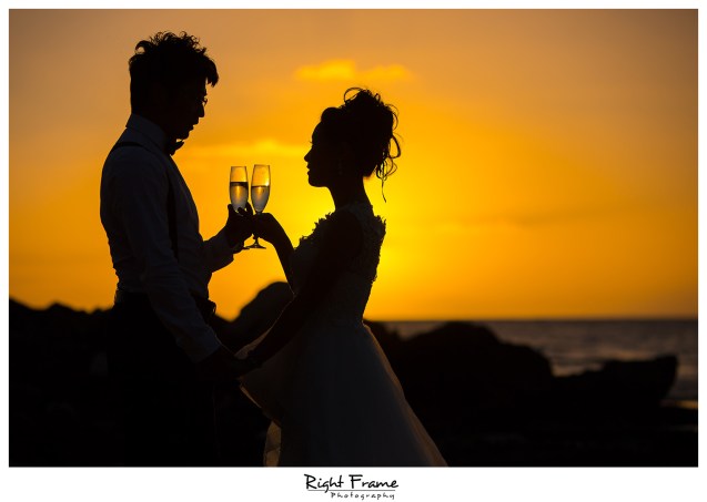 Engagement Photographer Honolulu Oahu Hawaii