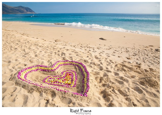 Romantic Surprise Engagement Proposal in Hawaii