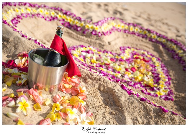 Romantic Surprise Engagement Proposal in Hawaii