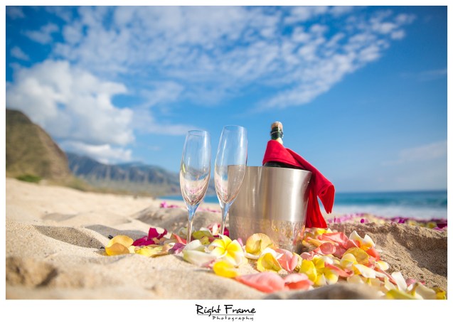 Romantic Surprise Engagement Proposal in Hawaii