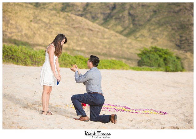 Romantic Surprise Engagement Proposal in Hawaii