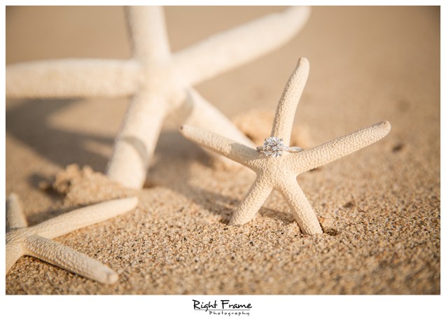 Romantic Surprise Engagement Proposal in Hawaii