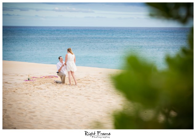 Oahu Surprise Sunset Proposal She Said Yes