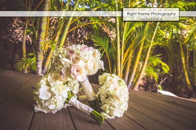 _Hawaii Wedding Kathy Ireland Weddings Beachfront Oasis