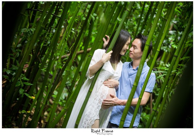 Oahu Maternity Photography in Bamboo Forest