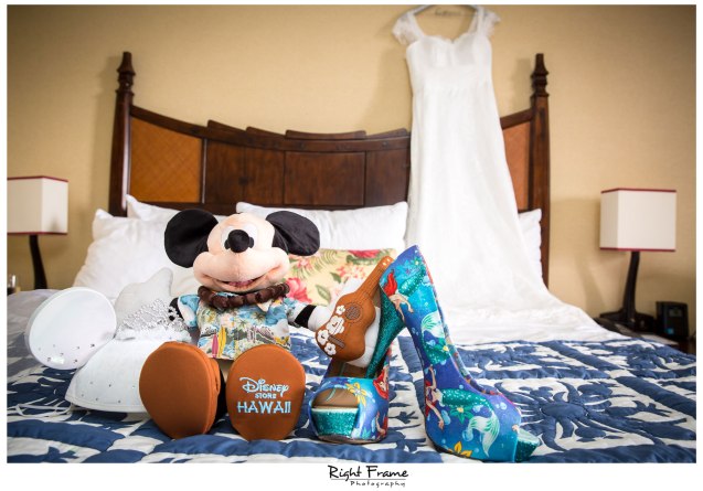 Destination Wedding Hawaii Paradise Cove Aulani Disney