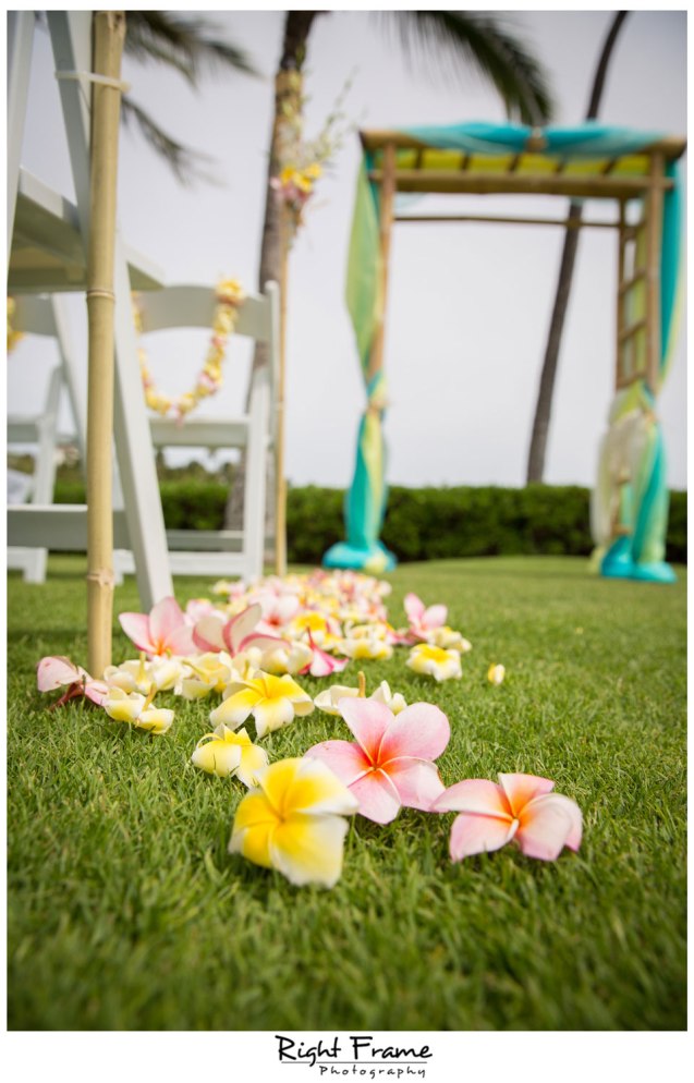 Destination Wedding Hawaii Paradise Cove Aulani Disney