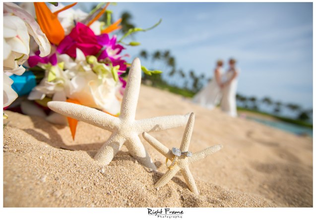 Destination Wedding Hawaii Paradise Cove Aulani Disney