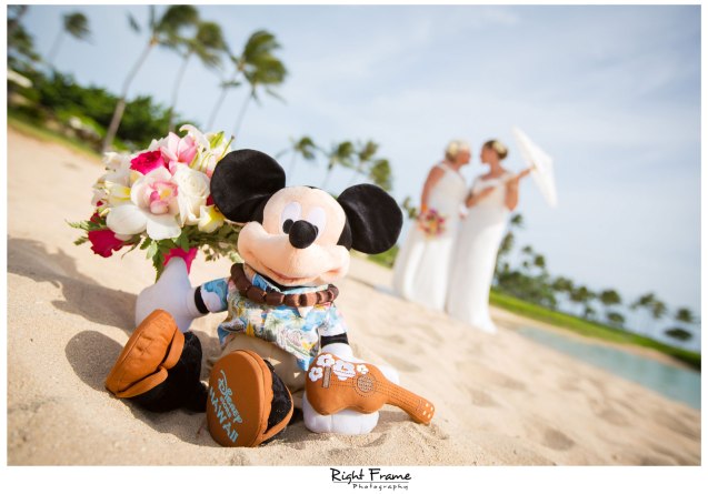 Destination Wedding Hawaii Paradise Cove Aulani Disney
