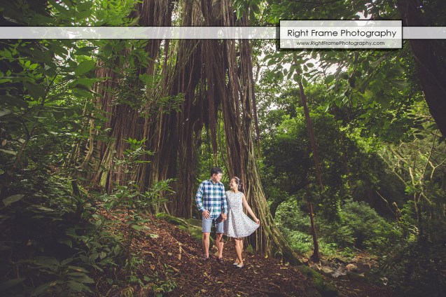 OAHU ENGAGEMENT PHOTOGRAPHY Hawaii