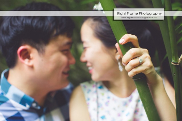 OAHU ENGAGEMENT PHOTOGRAPHY Hawaii