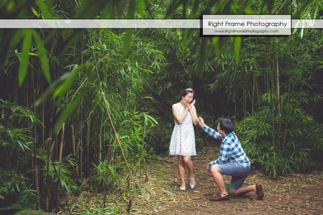 OAHU ENGAGEMENT PHOTOGRAPHY Hawaii