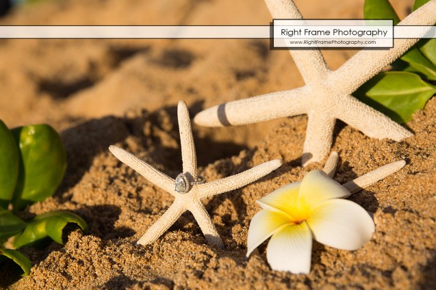 Engagement Photos in Haleiwa North Shore Oahu