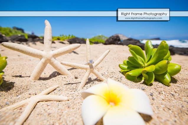 Professional Oahu Photographers for Couples