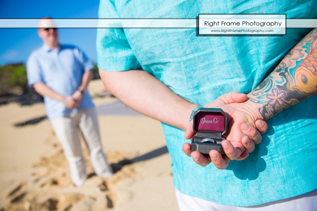 He Asked He Said Yes Proposing in Hawaii